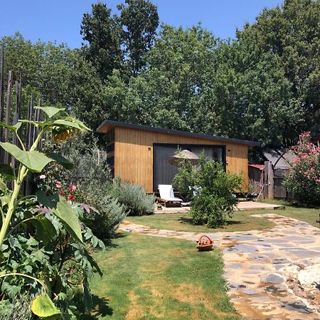 Tiny House Kayakoey Nar Villa Fethiye Ngoại thất bức ảnh